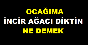 OCAĞIMA İNCİR AĞACI DİKTİN SÖZÜ NEREDEN GELİYOR?