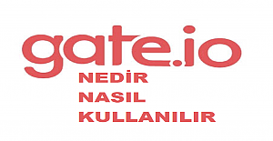 İlk Coinlerin Başlangıç Sitesi: Gate.io Nedir?