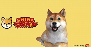 Shiba Inu Ne Demek. SHİBA INU coin fiyatı