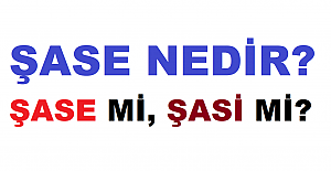 Araba Şasisi Nedir? Şasi Numarası Nerede Yazar?