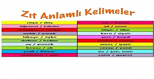 Eş ve Zıt Anlamlı Kelimelere Örnekler?