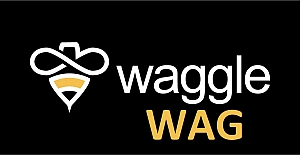 Waggle Network (WAG) Token Nedir? Waggle Network (WAG) Coin Geleceği