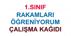 1. Sınıf Rakamları Öğreniyorum