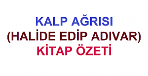 Kalp Ağrısı (Halide Edip Adıvar) Kitap Özeti