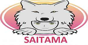 Saitama (SAITAMA) Token Nedir? Saitama (SAITAMA) Coin Geleceği