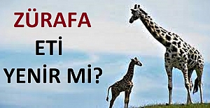 Zürafa Eti Helal mi ? Zürafa Eti Yenir mi ?