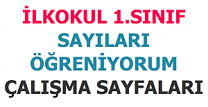 İlkokul 1. Sınıf Sayıları Öğreniyorum Çalışma Sayfaları