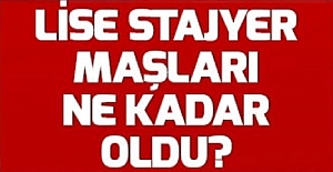 Lise Öğrencilerine Staj Ücreti Verilir mi?