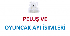 Peluş ve Oyuncak Ayı İsimleri