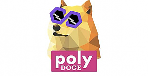 PolyDoge (POLYDOGE) Token Nedir? PolyDoge (POLYDOGE) Coin Geleceği