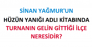 Sinan Yağmur'un Hüzün Yanığı Adlı Kitabında Turnanın Gelin Gittiği İlçe Neresidir?