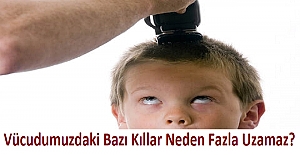 Vücudumuzdaki Bazı Kıllar Neden Fazla Uzamaz?