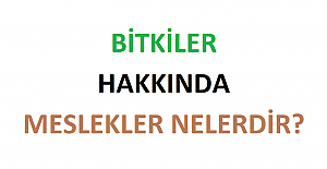 Bitkilerle Uğraşan Meslekler Hangileridir?