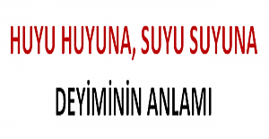 Huyu Huyuna, Suyu Suyuna Deyiminin Anlamı