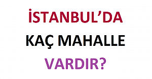 İstanbul’da Kaç Mahalle Vardır?