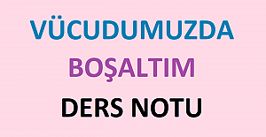 Vücudumuzda Boşaltım Ders Notu