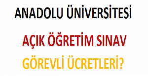 2022 Yılı Anadolu Üniversitesi Açık Öğretim Sınav Görevli Ücretleri?