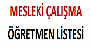 Mesleki Çalışma Öğretmen Listesi