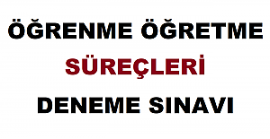 Öğrenme Öğretme Süreçleri Deneme Sınavı