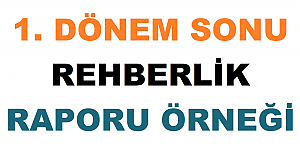 1. Dönem Sonu Rehberlik Raporu Örneği