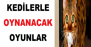 Kedilerle Oynanacak Oyunlar
