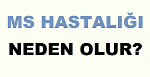 MS Hastalığı Neden Olur?