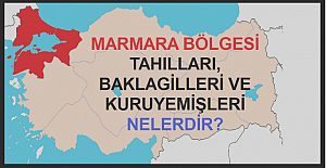 Marmara Bölgesinde Yetişen Tahıllar, Baklagiller ve Kuruyemişler Nelerdir?
