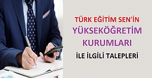 Türk Eğitim Sen'in Yükseköğretim Kurumları İle İlgili Talepleri