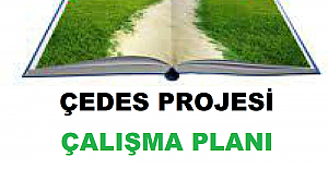 ÇEDES Projesi Çalışma Planı