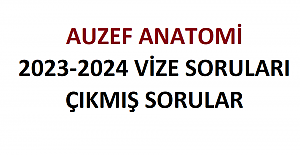 Auzef Anatomi 2023-2024 Vize Soruları Çıkmış Sorular