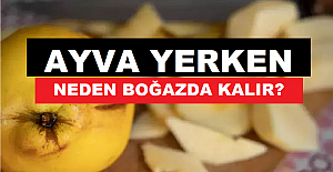 Ayva Yerken Neden Boğazda Kalır?