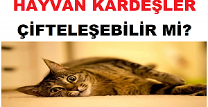 Hayvan Kardeşler Çifteleşebilir mi?