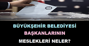 Büyükşehir Belediyesi Başkanlarının Meslekleri Neler?