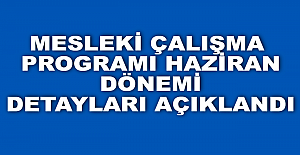 Haziran Ayı Mesleki Çalışma Detayları