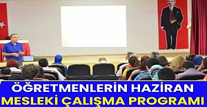Öğretmenlerin 2025 Yılı Haziran Ayı Mesleki Çalışma Programı
