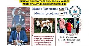 DEVLET MEMURLARINA ÖDENEN AİLE VE ÇOCUK YARDIMI, MANDA VE BUZAĞIYA ÖDENEN TOPLAM YARDIM MİKTARIYLA AYNI SEVİYE GETİRİLMELİDİR