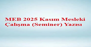 10-14 Kasım 2025 Mesleki Çalışma...